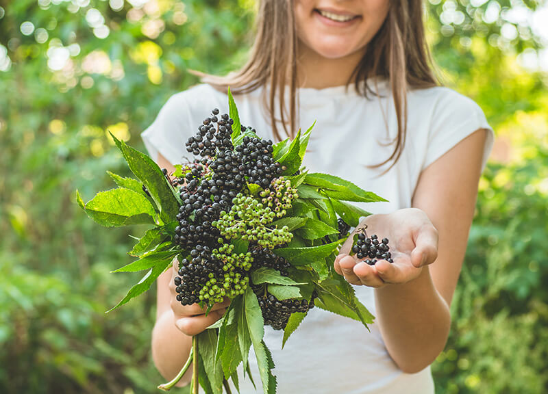 woman holding branch of elderberries