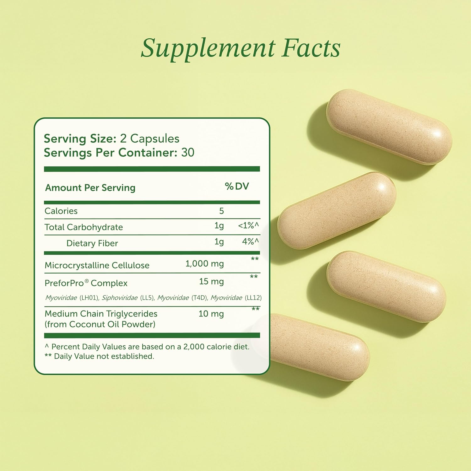 Prebiotic Fiber