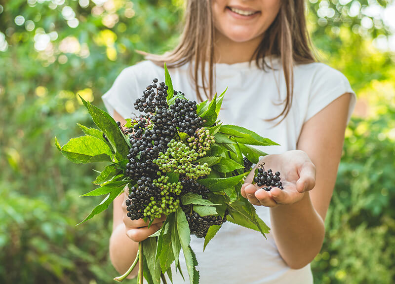 woman holding branch of elderberries 