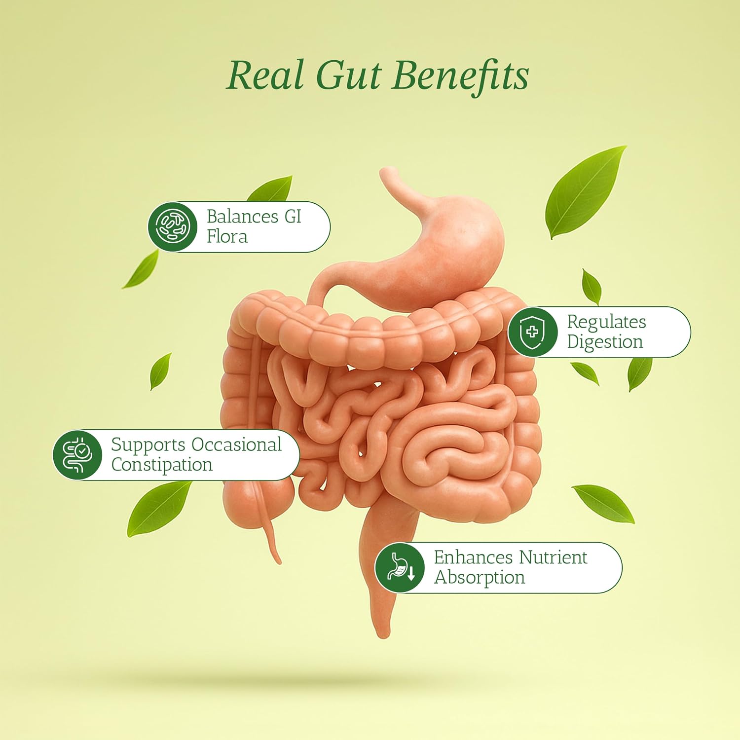 Prebiotic Fiber